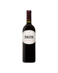Bio Zweigelt Rubin Carnuntum 2020 750ml - Rotwein von Weingut Payr