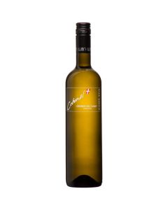 Grüner Veltliner Grinzing 2021 750ml - Weißwein von Weingut Cobenzl